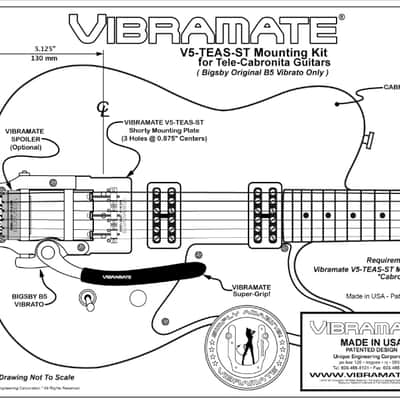 Bigsby B5 Tremolo & Vibe V5TEAS-ST, Saddles, String Spoiler Fits Fender Cabronita Telecaster image 3