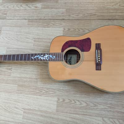 Washburn D95LTD 1995 image 2