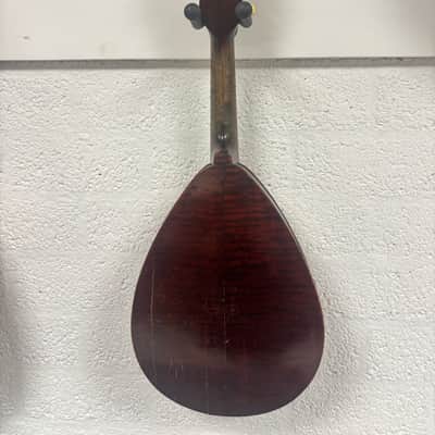 Weymann mandolin (mandolute) style 30 app. 1913 image 8