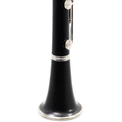 Buffet Crampon R13 Professional Bb Clarinet in Grenadilla SN F499157 image 13