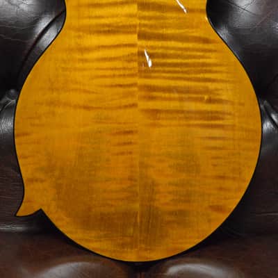 Weber Yellowstone F14-F Mandolin image 4