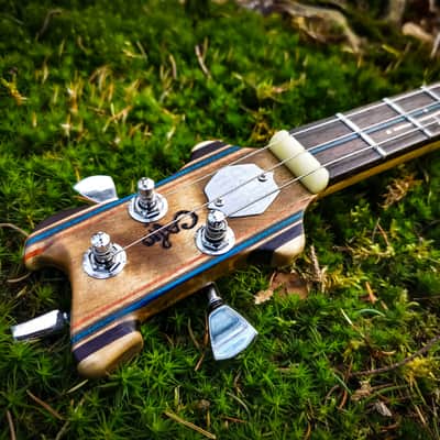 The Kingfisher - High Bird custom cigar box guitar image 16