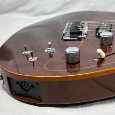 Godin Passion Series RG.2 rg2 rg-2 Guitar 2012 image 15