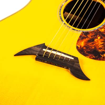 Breedlove Pro Series D25/SRH Acoustic Guitar Owned by Dave Mustaine image 9