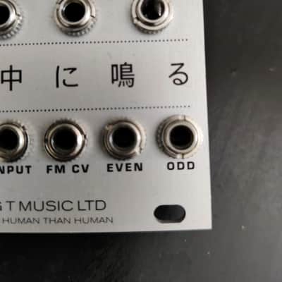 Big T Music Rangoon Mutable Instruments Rings Clone Eurorack Module image 8