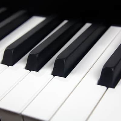 Mellotron M4000D Keyboard with 100 Mellotron and Chamberlin Sounds - Black image 5
