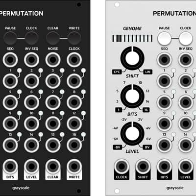 Grayscale Permutation 18hp - black or gray panel option - expanded Turing Machine image 2
