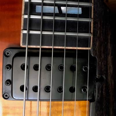 Roger Borys B-120 Deluxe 2012 Honeyburst image 7