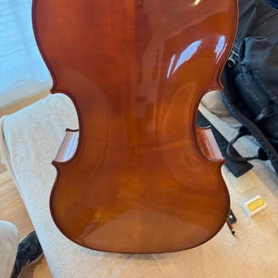 Peter Steinhaus Cello N1 1997 image 12