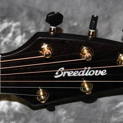 2023 Breedlove - Artista Pro Concert CE - Burnt Amber image 5