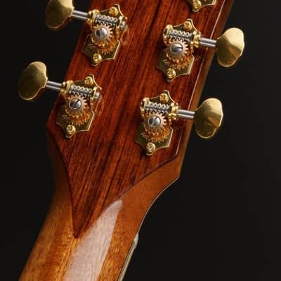 McPherson 4.0 Camrielle 2011 - Gloss image 5