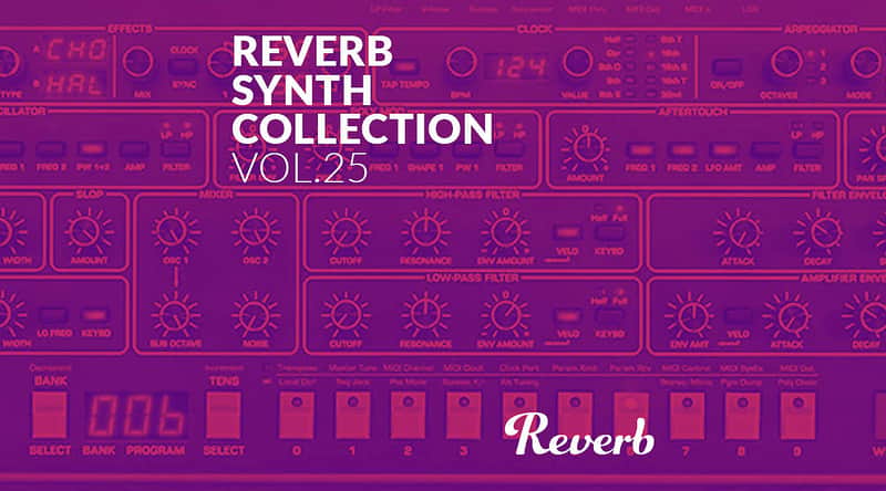 Reverb Sequential Circuits Prophet-6 Synth Collection Sample Pack by Rik Marston image 1