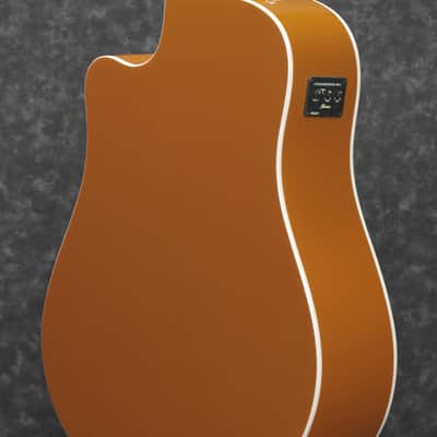 Ibanez Alt30 Dom image 4