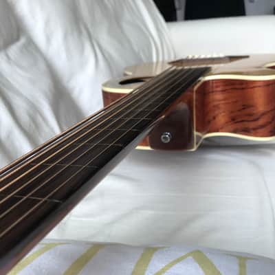 Left Handed Warwick 6 String Fretless Alien Bass in Excellent image 11