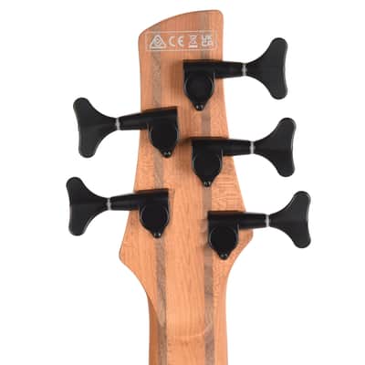 Ibanez SR505NMAM SR Standard 5-String Electric Bass Midnight Arctic Ocean Matte image 7