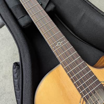 Alvarez Artist AG60ce Armrest Acoustic/Elec. w/Flexi-case, setup, & shipping image 4