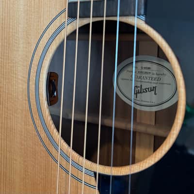 Gibson Generation Collection G-Bird 2022 - 2023 - Natural image 2
