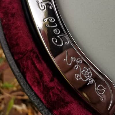 Gold Tone 10 string  resonator banjo image 16