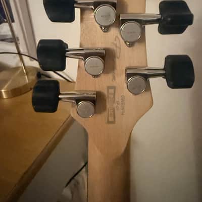 Ibanez GWB25th-SWF Gary Willis 25th Anniversary Signature Soundgear Fretless 2024 - Present - Silver Wave Burst Flat image 9