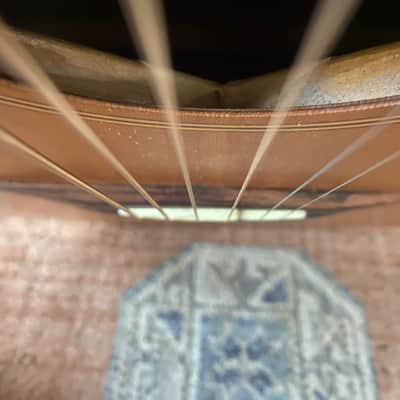 acoustic guitar (no name) image 12