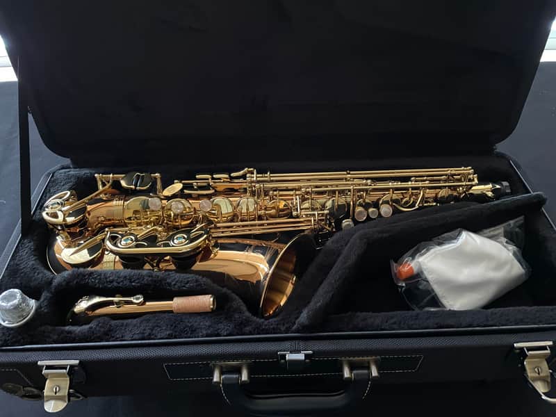 Yanagisawa Model AWO2 Professional Alto Sax (USED/Demo) image 1