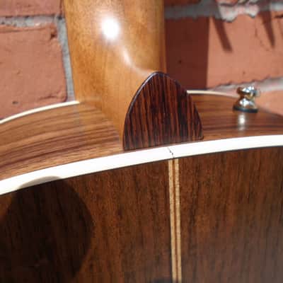 Godin Presentation  Classical SF Guitar w/bag image 7