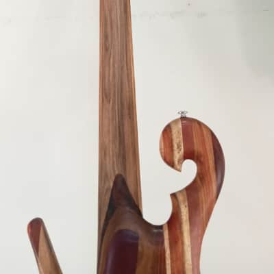 Thompson tribute Bassovarius #2 "Full Rainbow"5 strings bass image 9