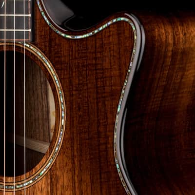 Taylor Next Generation Builder's Edition K24ce #06035 image 9