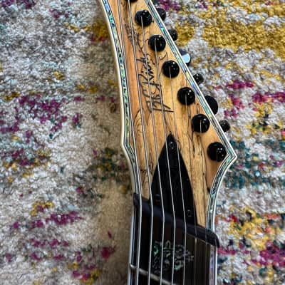 B.C. Rich Shredzilla Extreme 8 Exotic Electric Guitar, Spalted Maple, BRAND NEW!!! With BC Rich Gig! image 6