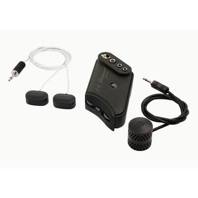 L.R. Baggs HiFi Duet image 1