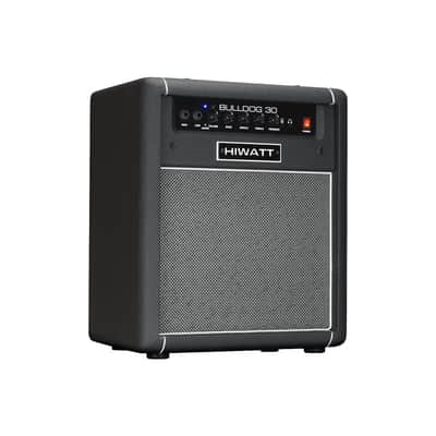 Hiwatt Bulldog 30 Combo per basso 1x10 30 W image 2