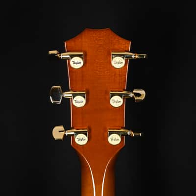Taylor 217e Plus Special Edition Honeyburst w/ Torrefied Spruce Top & Big Leaf Maple Back and Sides Acoustic/ Electric- Honey Sunburst 2026 (2202066281) image 7
