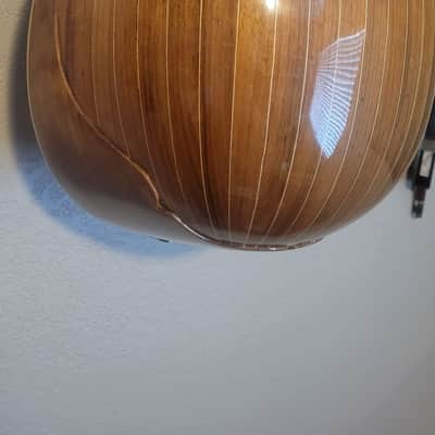 Unknown Mandola 2000+ image 4