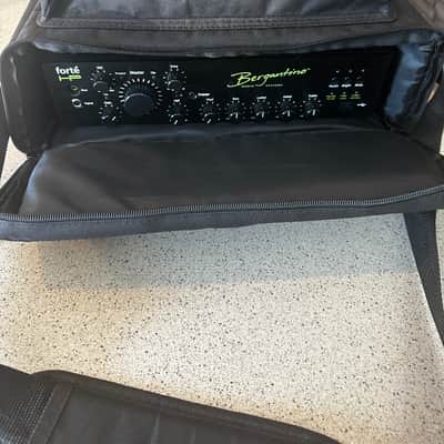 Immagine Bergantino  Forté HP Bass Amplifier - 7