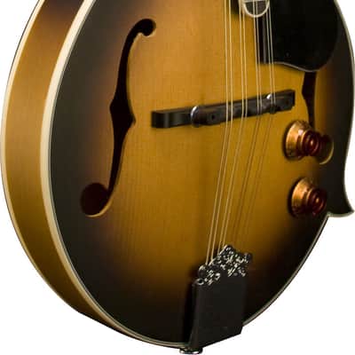 Washburn M3E F-Style Mandolin Pack image 3