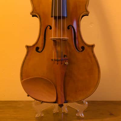 Pygmalius Derius Giapponese 