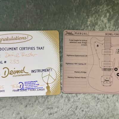 Deimel Firestar 2025 - Silver w/ Black pores & Guard. Righteous Sound Pickups. NEW, (Authorized Dealer) image 19