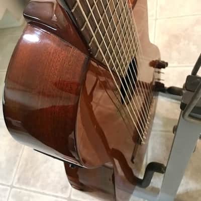 Cathedral 10 string clasical guitar 2013 with midi pickup image 19