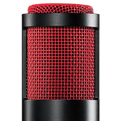 Shure KSM313/NE Dual-Voice Ribbon Microphone with Roswellite Ribbon Technology image 3