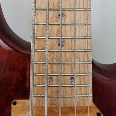 Tensor custom bass Classic series 5-string dual-pickup image 4