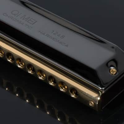 Chromatic Harmonica C Key 12 Hole 48 Tone Harp Harmonica French Harp Mouth Organ image 5
