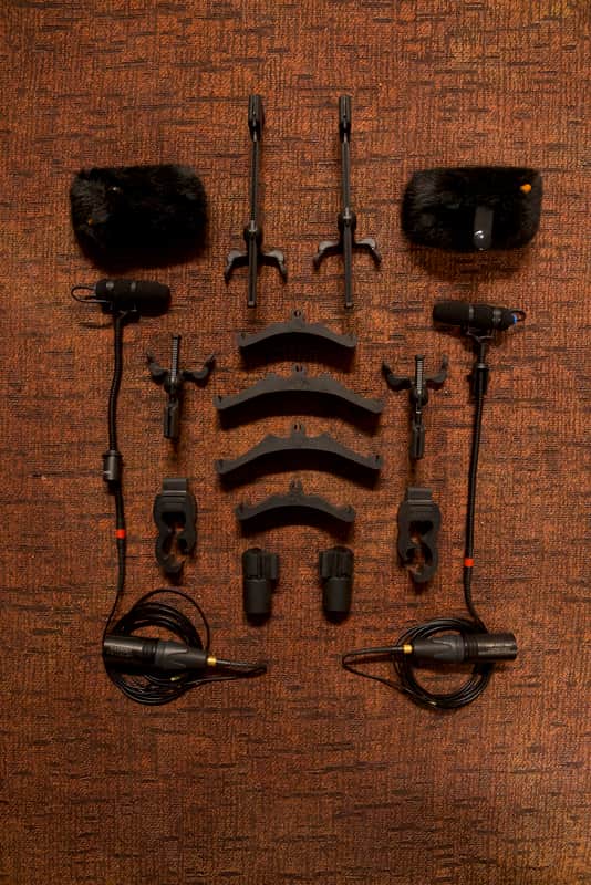 Pair of DPA 4099 Core Loud Supercardioid Instrument Microphones image 1