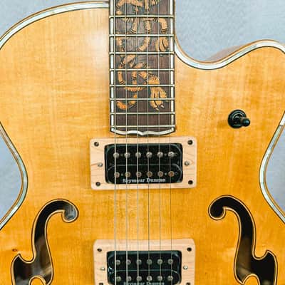 Blueberry Handmade Hollow Body Electric Guitar Rapunzel Motif image 15