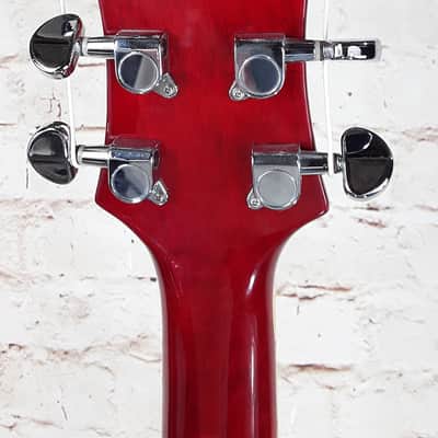 Arbor AP 230 –Les Paul-style – Low Action, Great Tone – Gorgeous Cherry Sunburst image 20