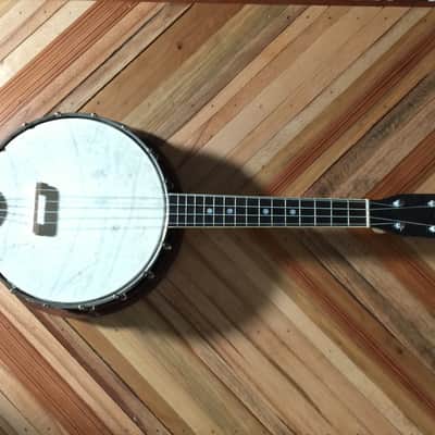 Stromberg-Voisinet Banjo ukulele 1920s image 1