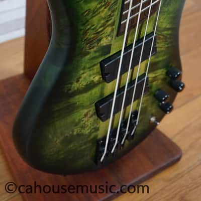 Spector NS Dimension 4 - Haunted Moss image 8