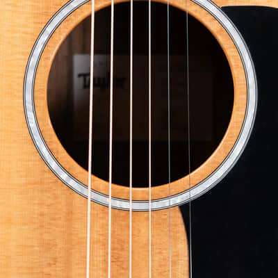 Taylor 210ce Plus Dreadnought Acoustic/Electric Guitar with AeroCase image 9