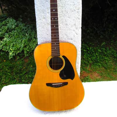 Ibanez Champion C300 Dreadnought Guitar, 1979, Japan, Gig Bag image 1