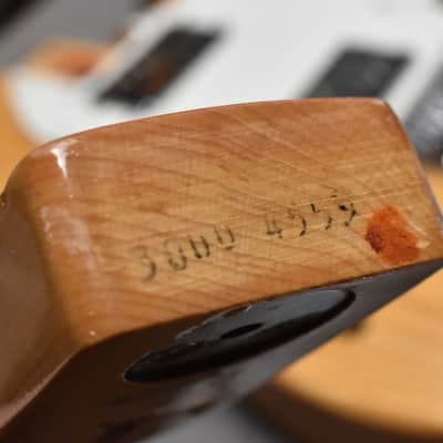 1973 Fender Thinline Telecaster Natural Finish w/OHSC image 6
