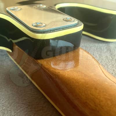 GRECO EB-135 c.1968 - SEMI-ACOUSTIC BASS - MIJ VINTAGE image 14